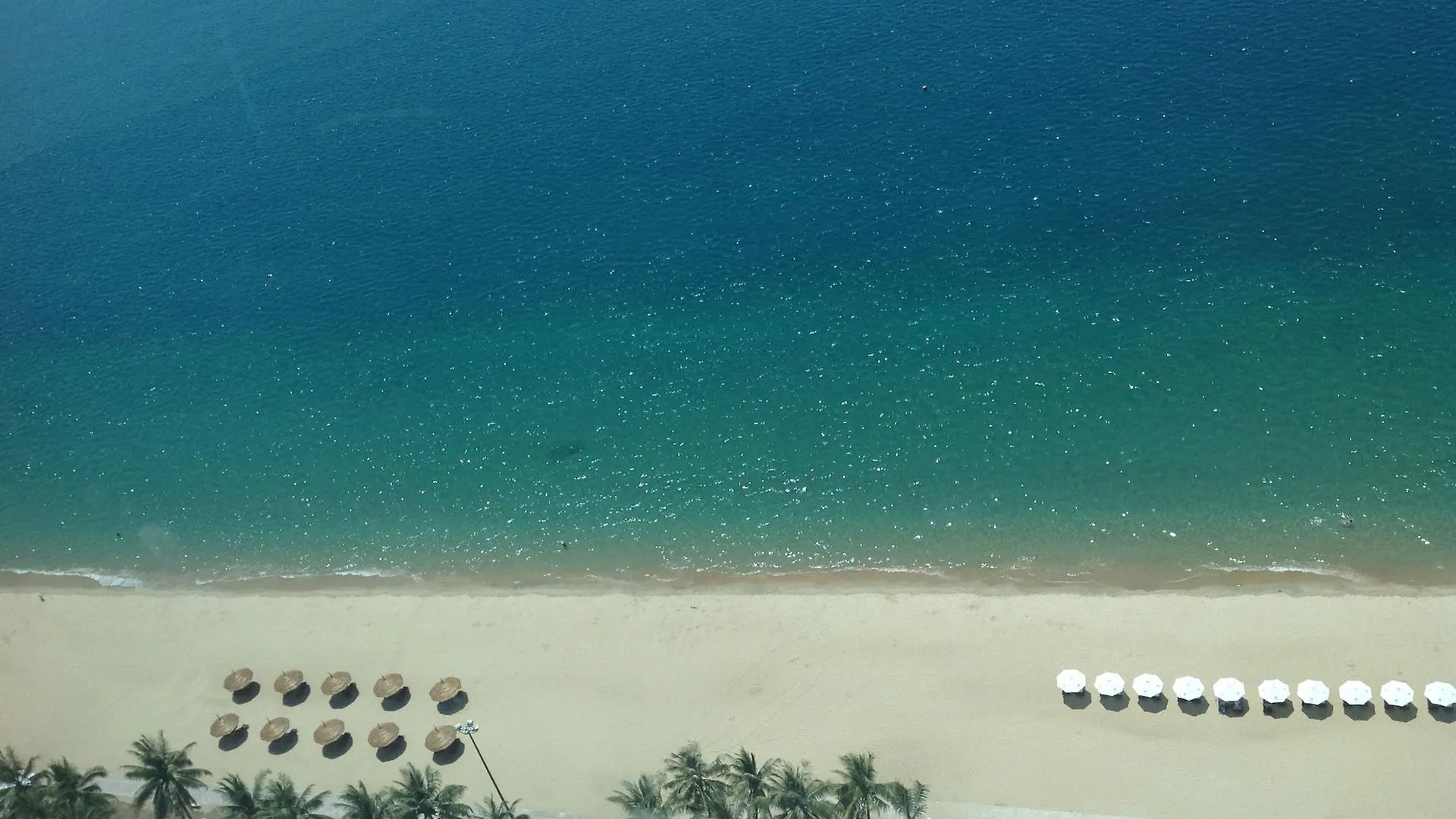 Havana Nha Trang Hotel